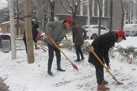 历史学院学生第一党支部开展“扫雪除冰”党员活动-河北大学历史学院
