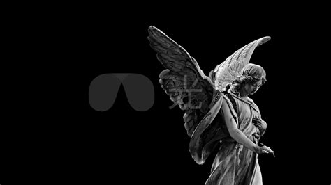 黑色背景下的女天使翅膀拍打动画_1920X1080_高清视频素材下载(编号:7081023)_影视包装_光厂(VJ师网) www.vjshi.com