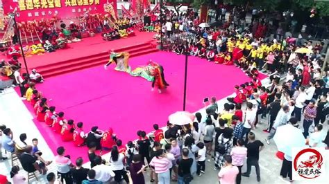 广东汕尾传统舞麒麟，真正的海丰民俗文化，值得一看