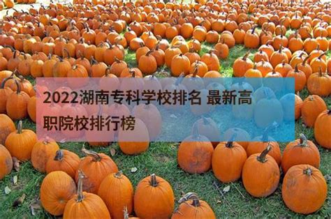 速看！湖南幼儿师范高等专科学校2023年单独招生简章发布 —湖南站—中国教育在线