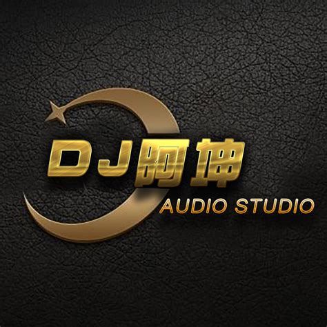 Dj阿坤专辑 - DJ嗨嗨网