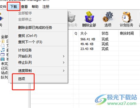 IDM下载器如何添加自动下载的文件类型-添加文件类型方法_华军软件园