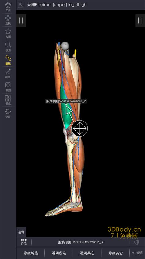 3Dbody解剖免费下载_华为应用市场|3Dbody解剖安卓版(8.0.0)下载