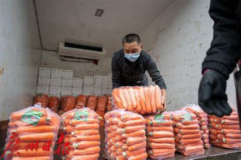 档口货如轮转，客商满载而归！广州果蔬批发市场恢复往日勃勃生机