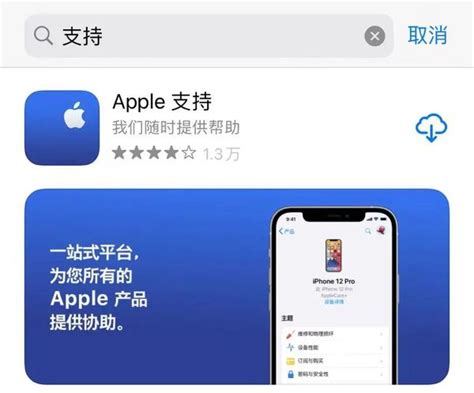 苹果商店（App Store）退款教程分享 - 大灰hurbai