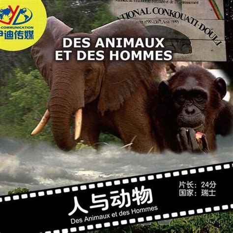 动物与自然电影周展映电影：《人与动物》_影音娱乐_新浪网