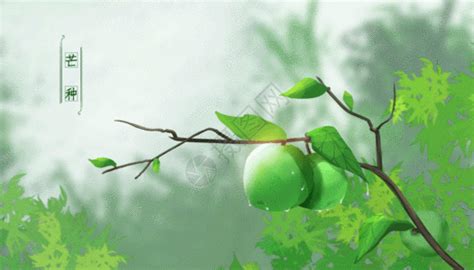 雨后的小故事GIF图片 雨后的小故事GIF图片