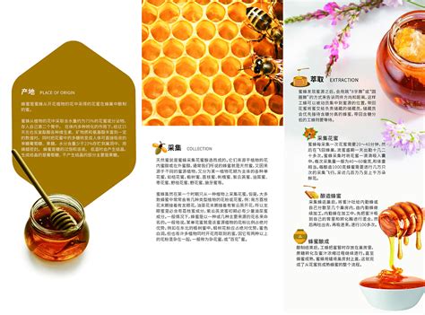 蜂蜜包装设计|平面|包装|素与简的对白 - 原创作品 - 站酷 (ZCOOL)