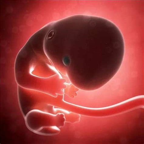孕晚期胎心监护出现这种情况要注意了, 说明胎儿在向妈妈求救