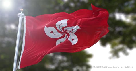 香港区旗图片