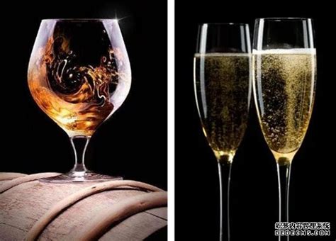 酒知识：香槟酒是葡萄酒吗，是多种功效的起泡白葡萄酒_红酒网