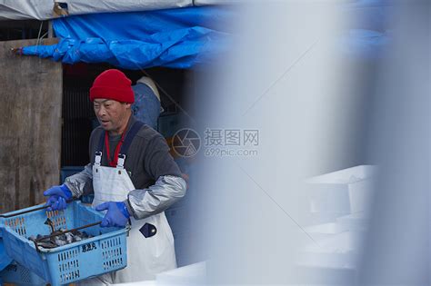市场卖鱼摊摄影图__生活素材_生活百科_摄影图库_昵图网nipic.com