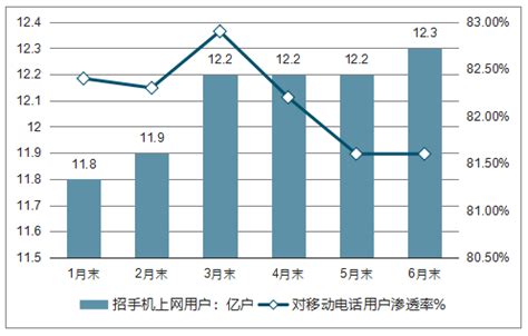 宽带市场分析报告_2019-2025年中国宽带市场研究与投资潜力分析报告_中国产业研究报告网