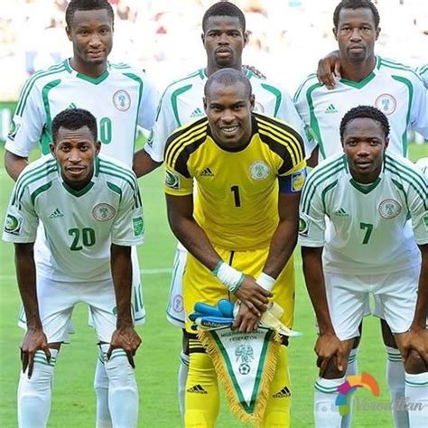 尼日尼亚国家足球队队徽标志矢量图LOGO设计欣赏 - LOGO800
