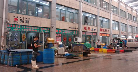 海鲜零售交易大厅 - 建设项目 - 青岛市城阳蔬菜水产品批发市场