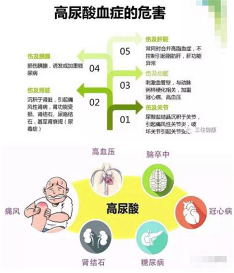 血尿酸高的原因是什么如何防治（血尿酸高的原因和危害）_重庆尹可科学教育网