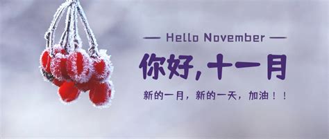十一月你好问候语秋冬霜雪红色果实实景照片公众号首图-比格设计