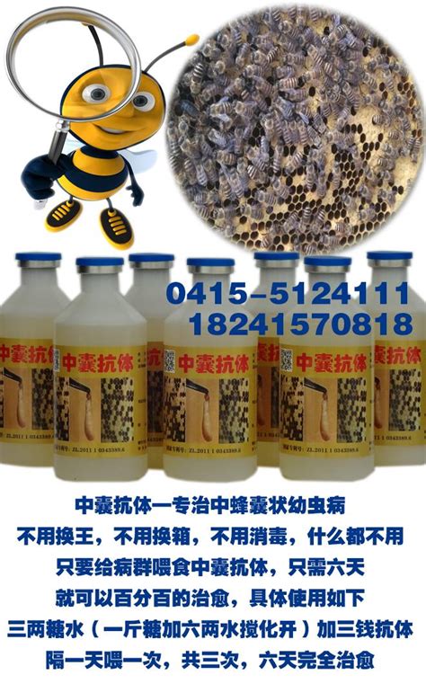 随县养蜂合作社蜜蜂养殖专业化-随州市人民政府门户网站
