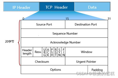 TCP/IP 协议模型 - 知乎