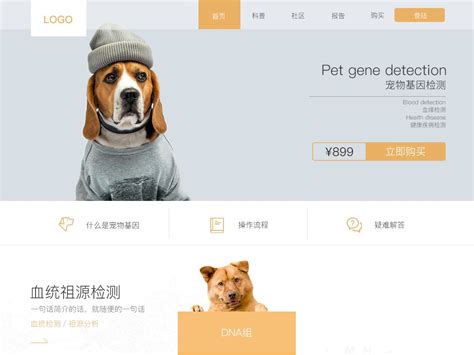 网页设计-宠物基因_明媚的小狐狸-站酷ZCOOL
