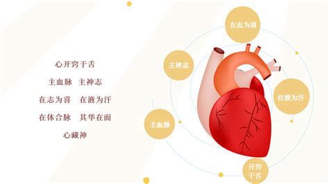 心脏人体关系图标EPS素材免费下载_红动中国