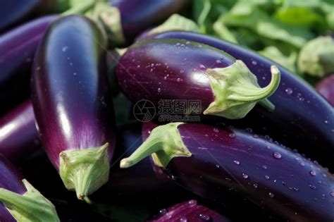 新鲜的紫色茄子蔬菜高清图片下载-正版图片600375586-摄图网