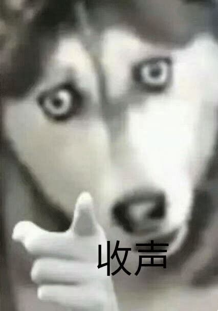 沉默表情包图片