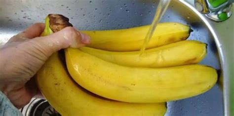香蕉传播种子的方法，香蕉的主要价值有哪些 - 农敢网