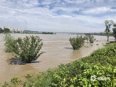 第一眼：涪江潼南段迎来新一轮洪水 超保证水位5米以上_重庆市水利局