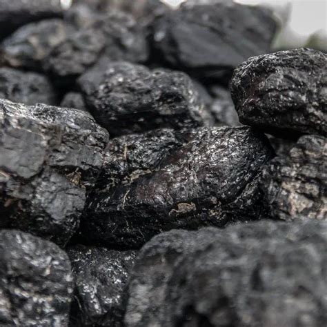 老人拉回家一大块黑煤炭，最后却发现它既是木头又是化石|木化石|化石|煤炭_新浪新闻