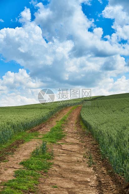 阳光明媚的夏日大云笼罩在年轻小麦的绿色田野上高清图片下载-正版图片504436912-摄图网