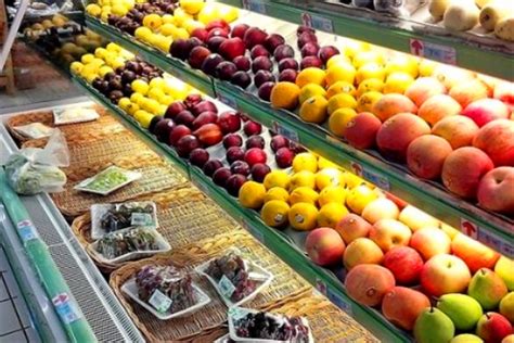 绿色果园水果超市加盟费用多少钱_绿色果园水果超市加盟条件_电话-全职加盟网国际站