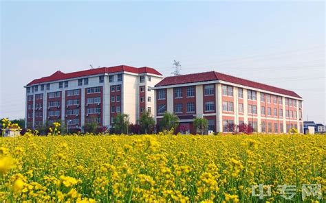 江阴职业技术学院2023年提前招生简章及计划 - 职教网