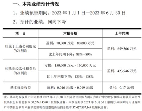 000725-京东方A-2023年半年度报告.PDF_报告-报告厅