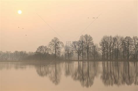这张照片是清晨在雾中拍摄的湖面很平静高清图片下载-正版图片503440552-摄图网