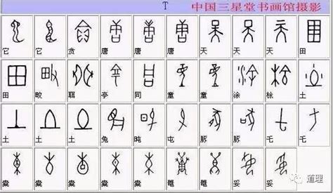 几个汉字演变过程（从甲骨文到行书）-某个字从甲骨文到行书的演变过程