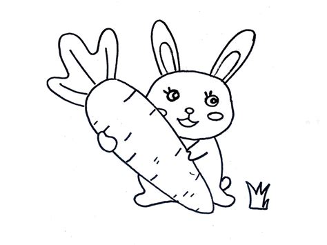 小白兔简笔画画法图片步骤🎬小小画家