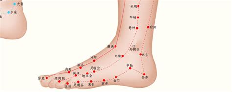 临泣的准确位置图图片 临泣的准确位置图图片