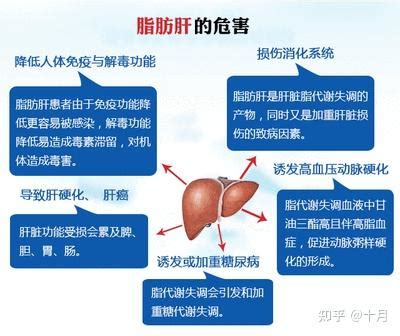 保肝护肝的重要性？三种方法教会你保护肝脏 - 知乎