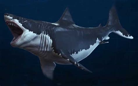 十大海洋霸主史前排名，巨齿鲨最为强悍，邓氏鱼仅排第三_排行榜123网