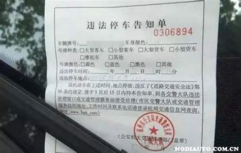 停车位里被贴“罚单”，交警：“谁给你的胆子”__凤凰网