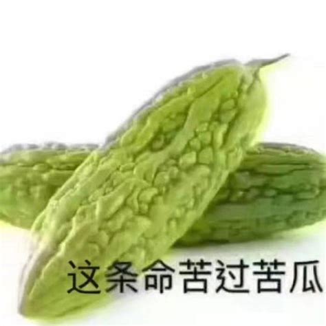 苦瓜脸头像图片