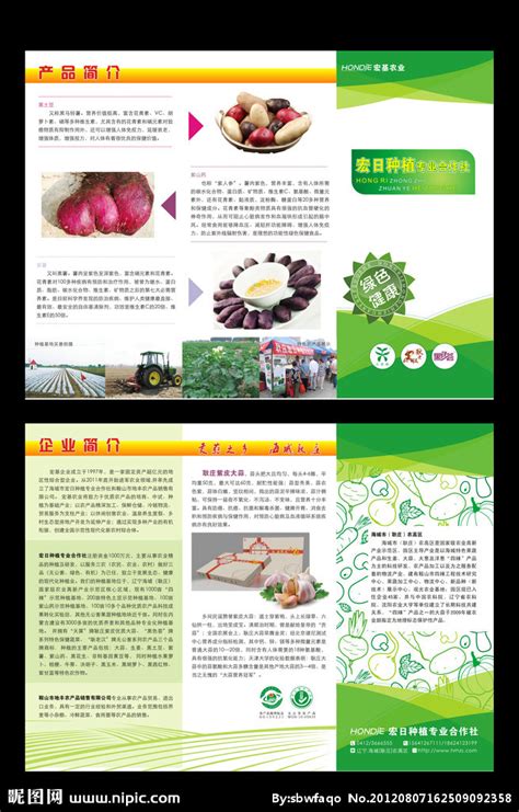 宏日农业之薯类农产品简介折页设计图__广告设计_广告设计_设计图库_昵图网nipic.com