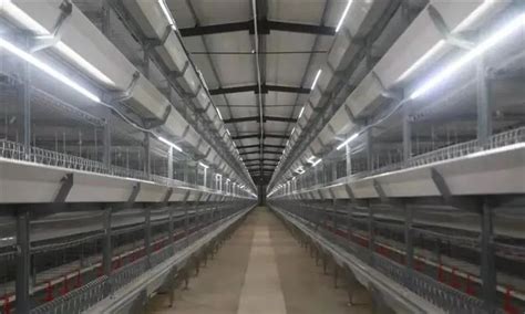 育肥塞盘式 - 自动饲喂系统-产品中心 - 广州嘉斯特畜牧设备有限公司