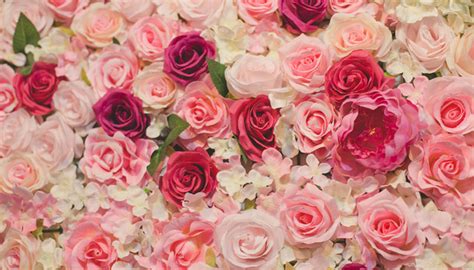 玫瑰数量的含义是什么(七夕过了还要送花！这个月的情人节，送玫瑰花要选好数量和品种) - 【爱喜匠】