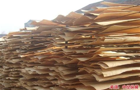 【独家发布】2020年中国造纸行业市场现状及发展趋势分析 循环、低碳、绿色经济成为新发展主题 - 行业分析报告 - 经管之家(原人大经济论坛)