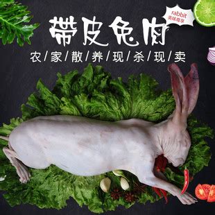 兔子脱毛癣图片