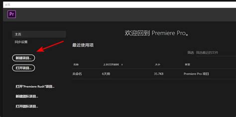 【Premierepro2020特别版】Premiere pro2020中文特别版 免费版-开心电玩