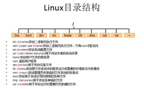 linux常用命令返回根目录，linux常用命令面试题-塔罗-火土易学