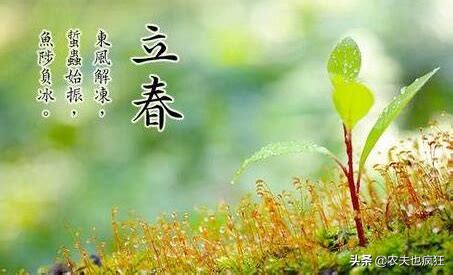 立春有关的农谚语 二十四节气农谚诗句_万年历
